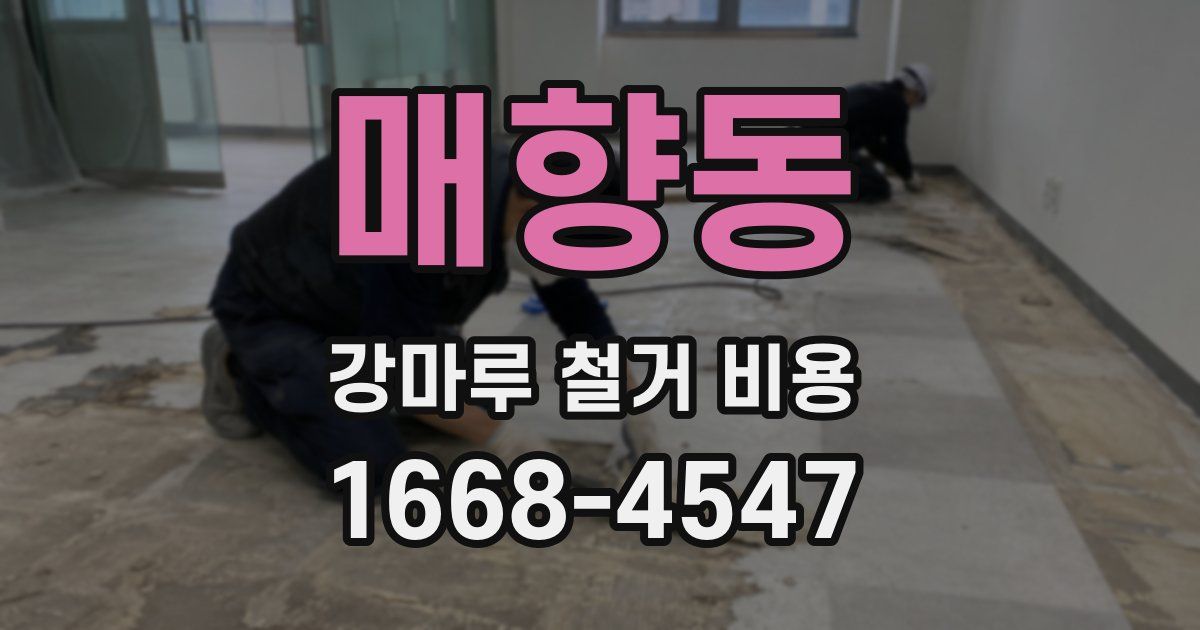 매향동 강마루 철거 비용