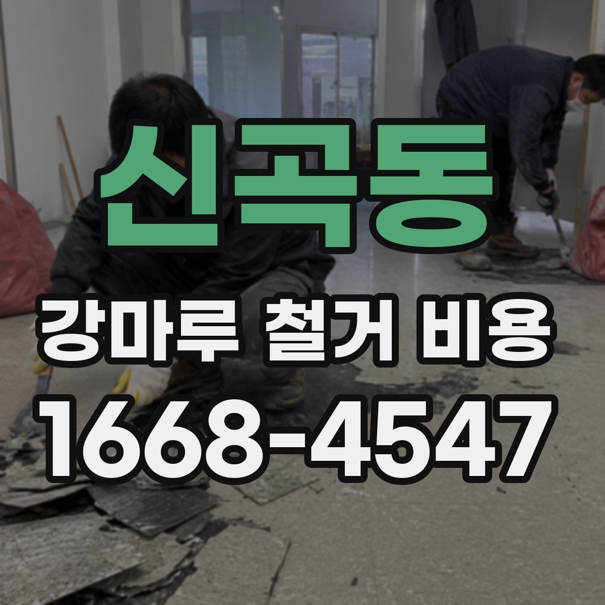 신곡동 강마루 철거 비용 철거 경험이 많은 업체를 고르는 기준
