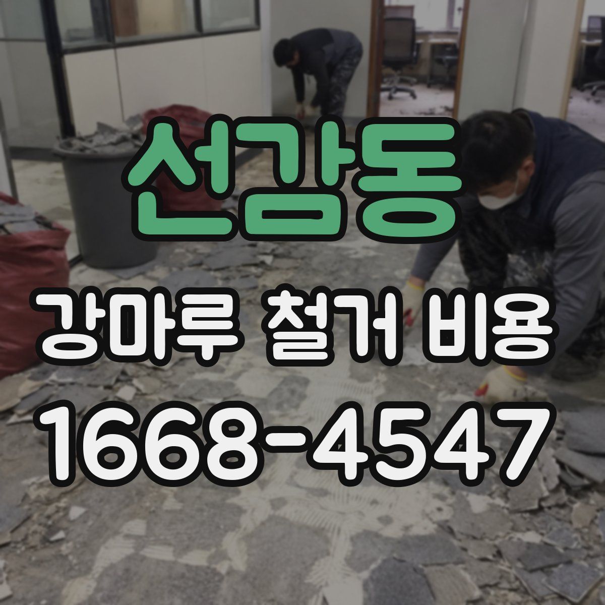 선감동 강마루 철거 비용