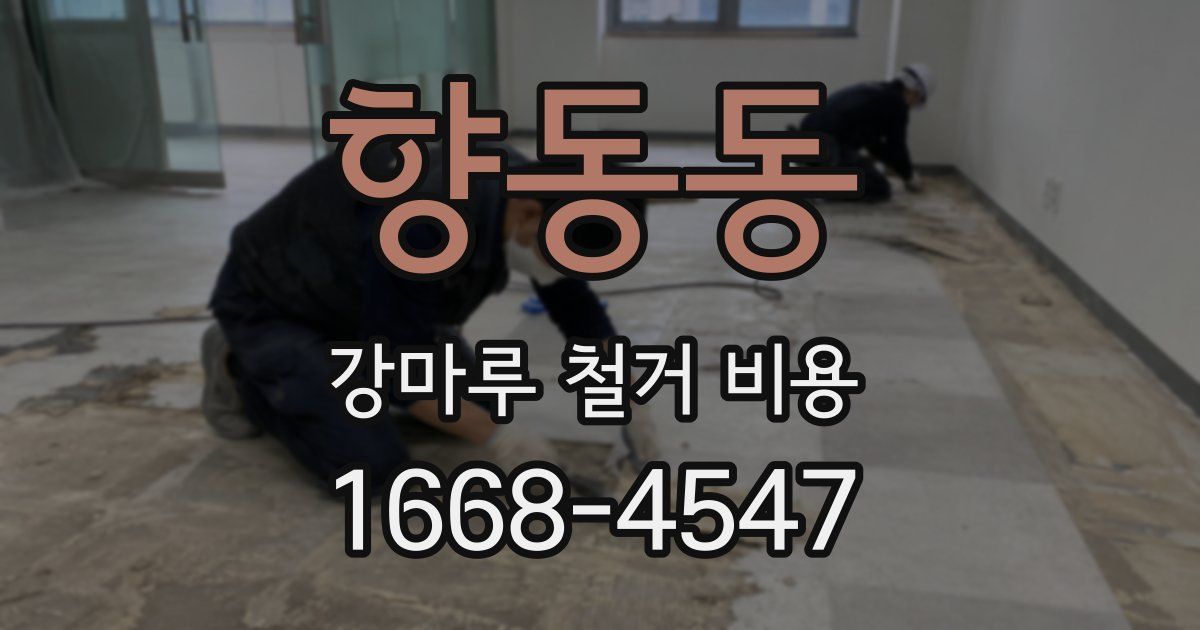 향동동 강마루 철거 비용