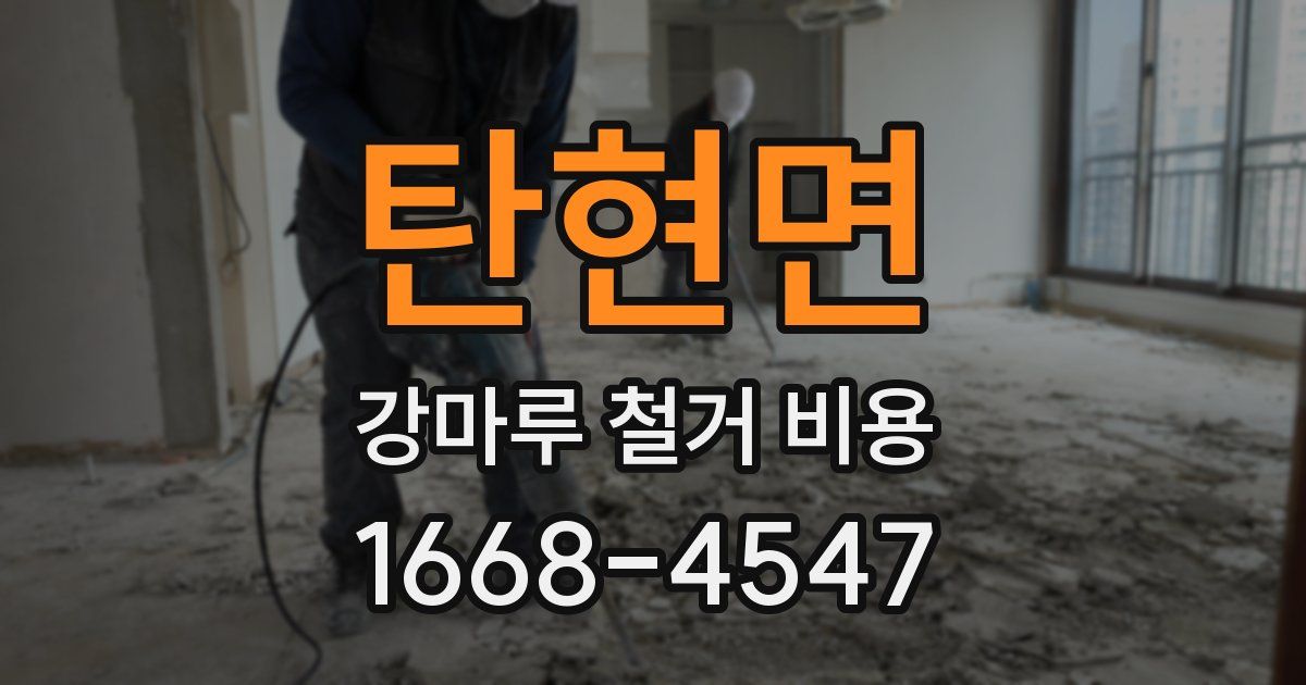 탄현면 강마루 철거 비용