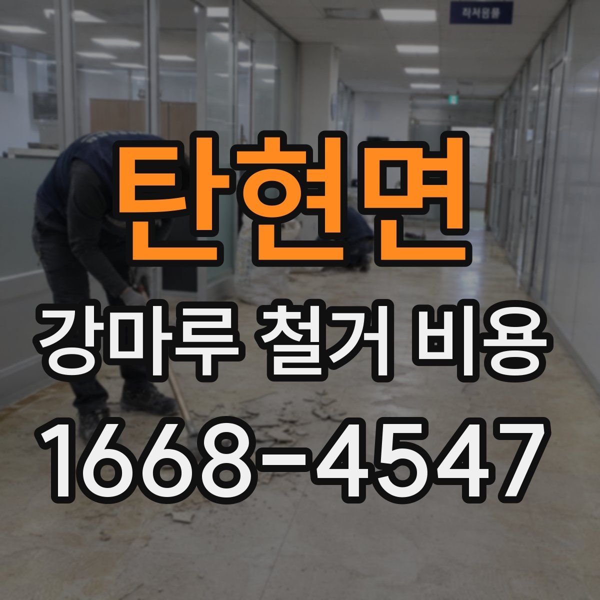 탄현면 강마루 철거 비용