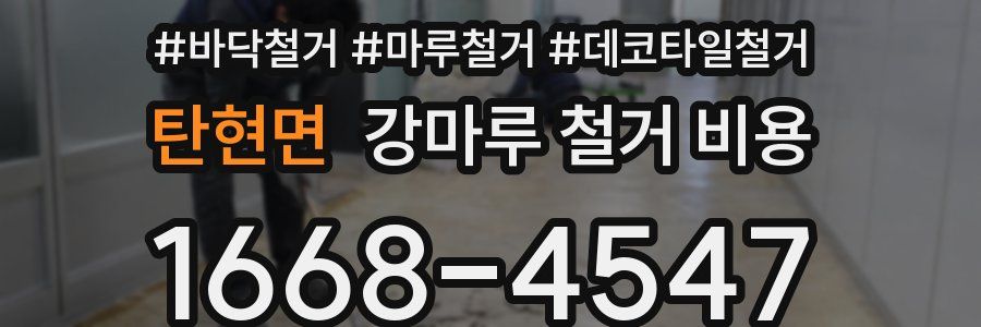 탄현면 강마루 철거 비용