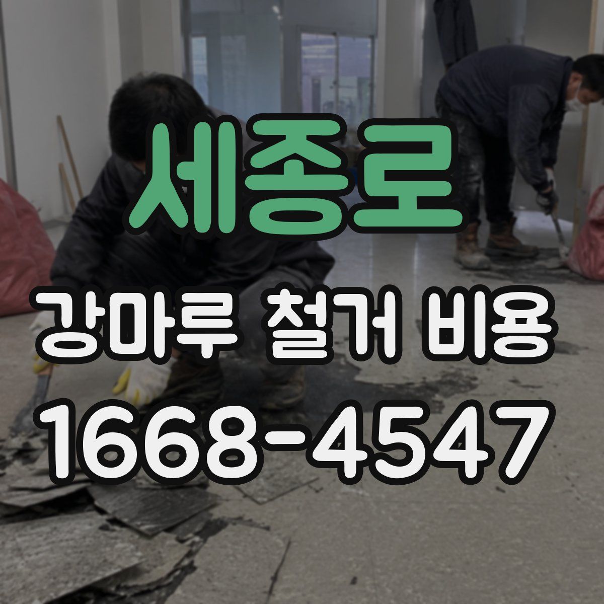 세종로 강마루 철거 비용