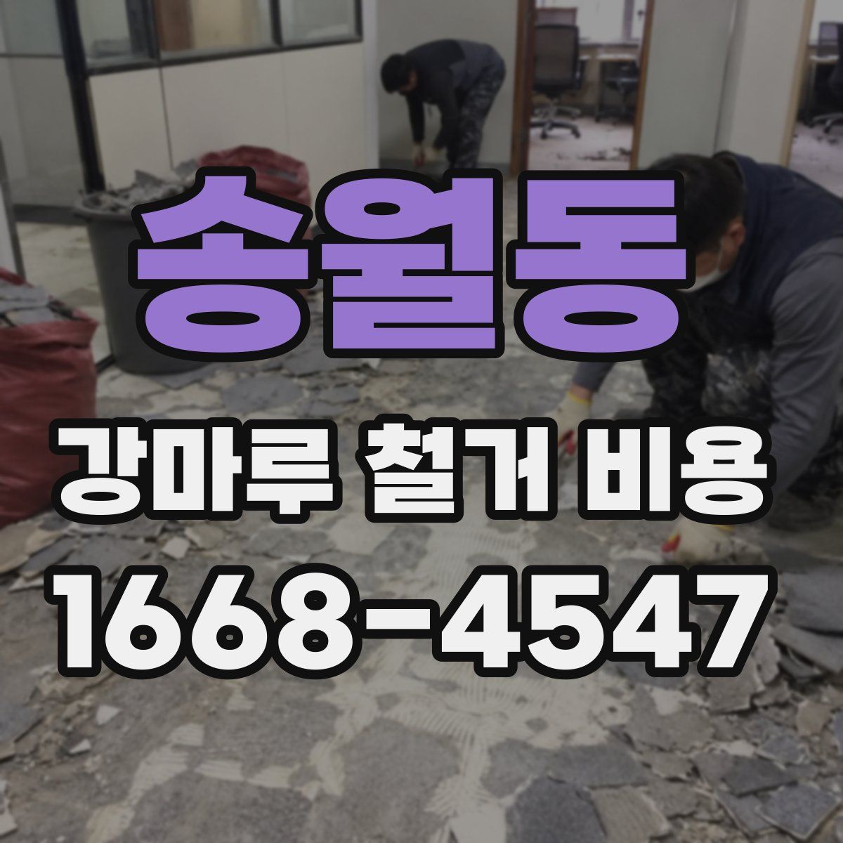 송월동 강마루 철거 비용