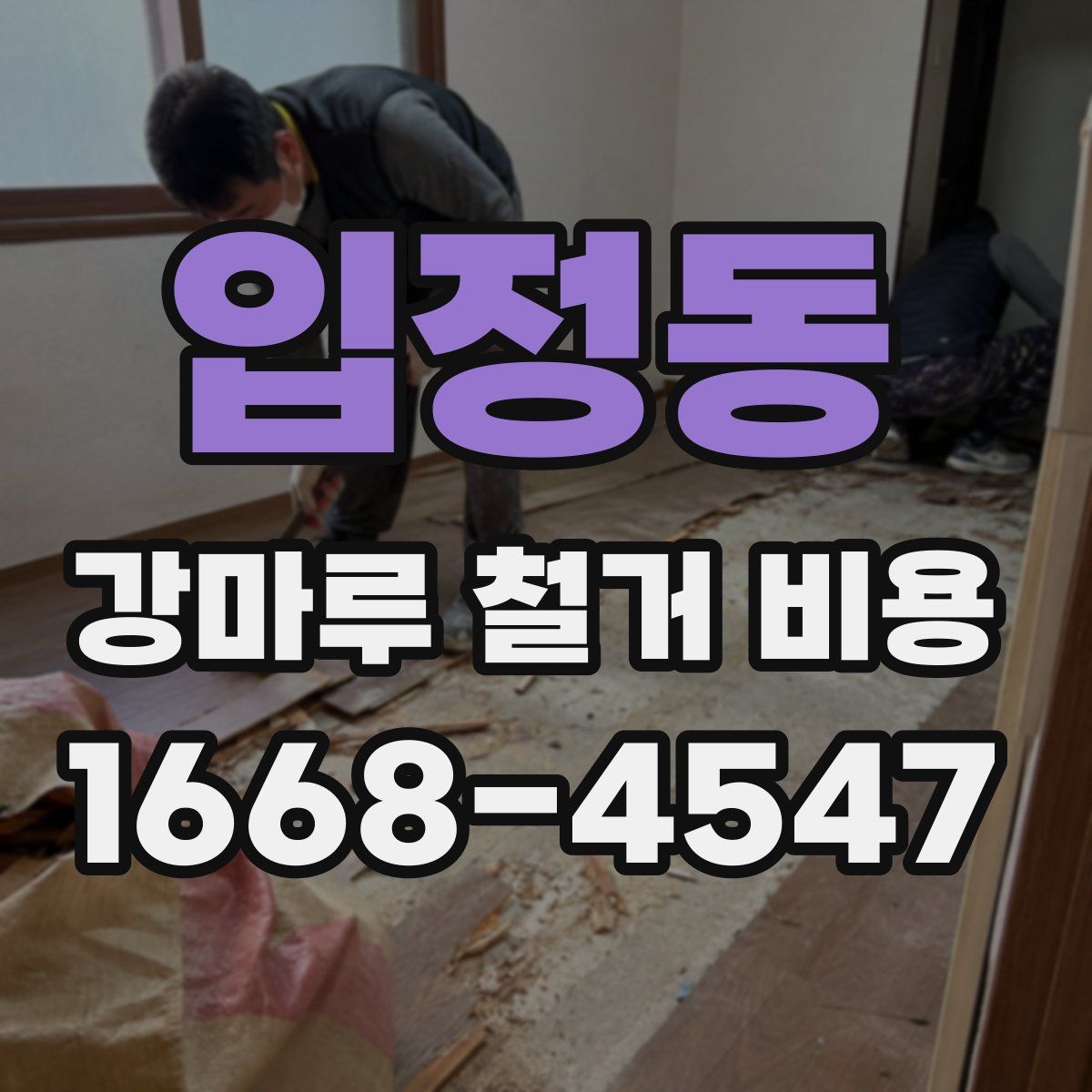입정동 강마루 철거 비용