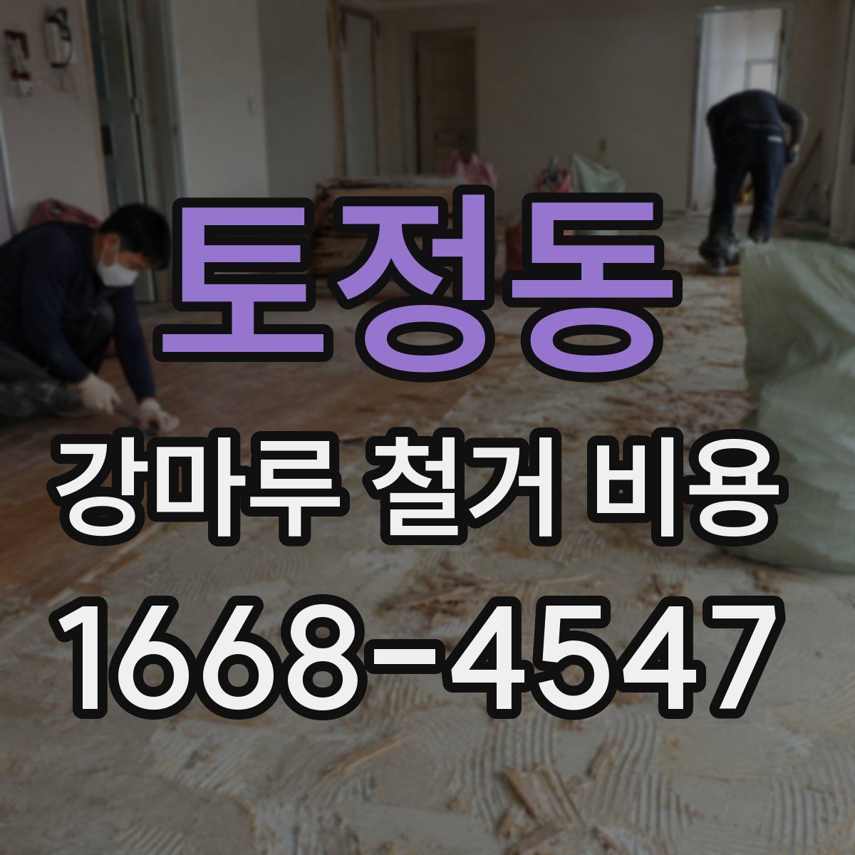토정동 강마루 철거 비용