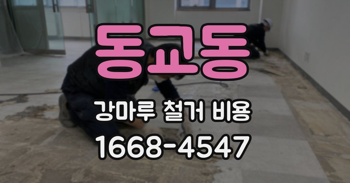 동교동 강마루 철거 비용