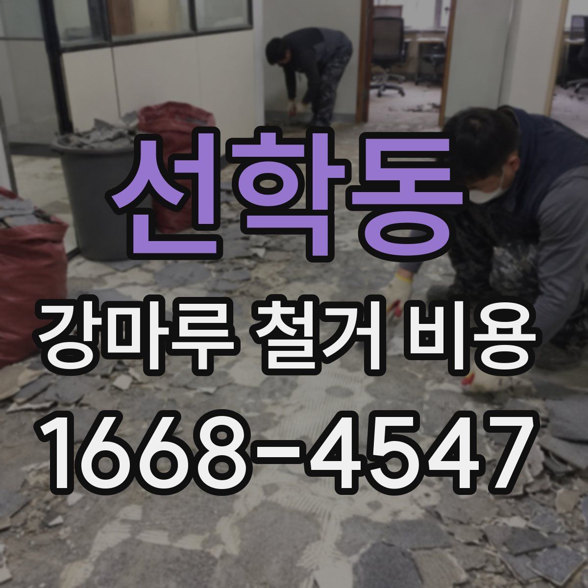 선학동 강마루 철거 비용
