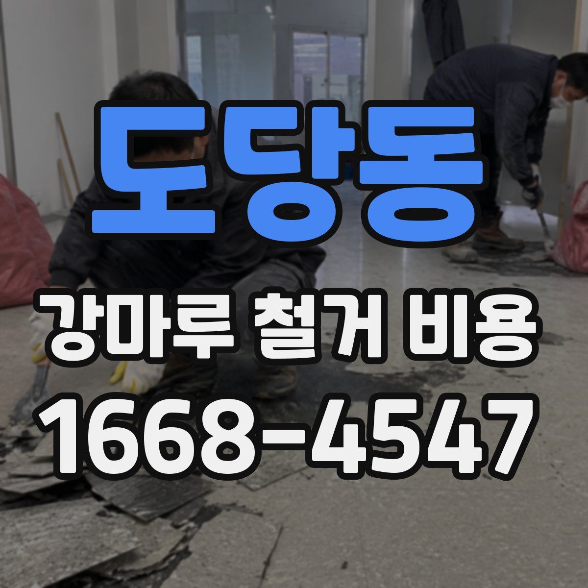 도당동 강마루 철거 비용