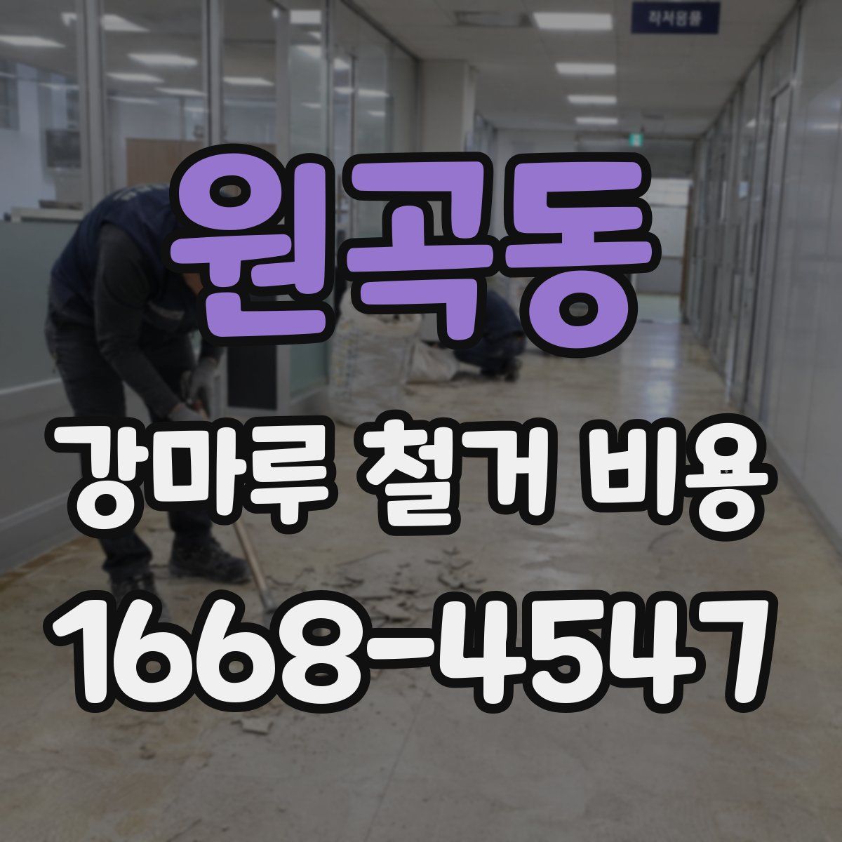 원곡동 강마루 철거 비용