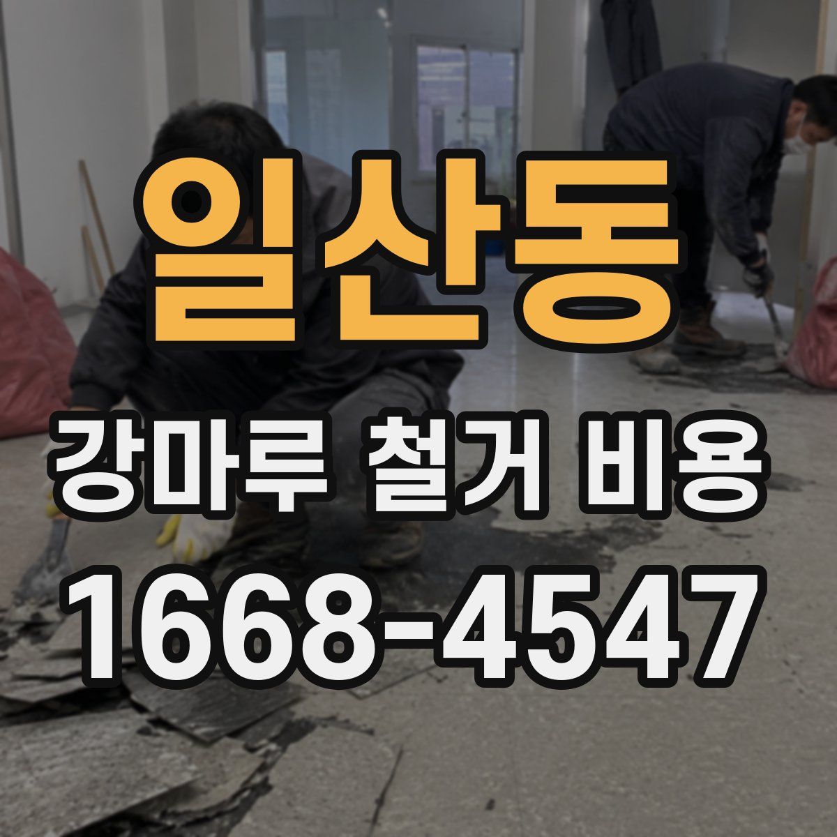 일산동 강마루 철거 비용