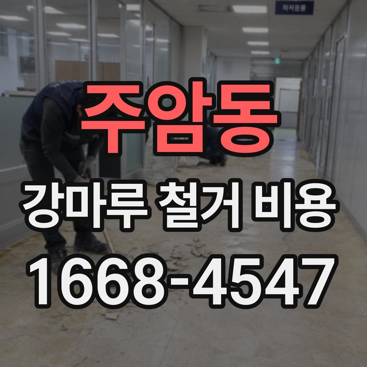 주암동 강마루 철거 비용