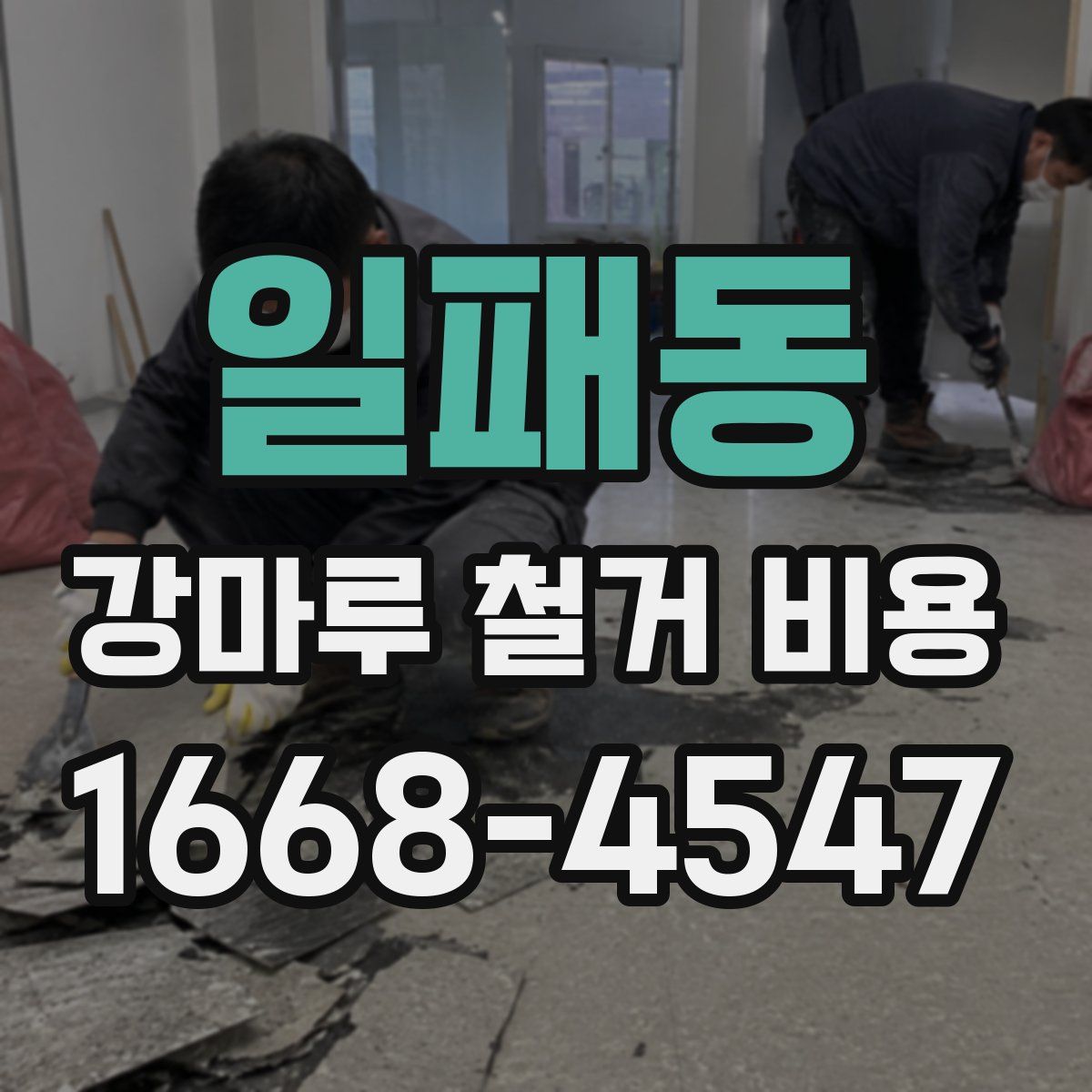 일패동 강마루 철거 비용