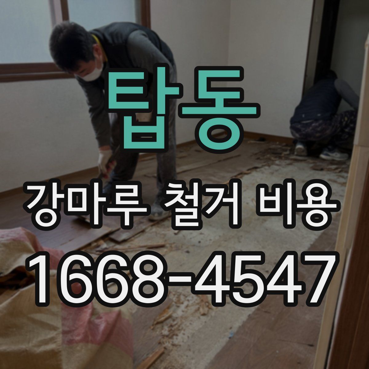 탑동 강마루 철거 비용