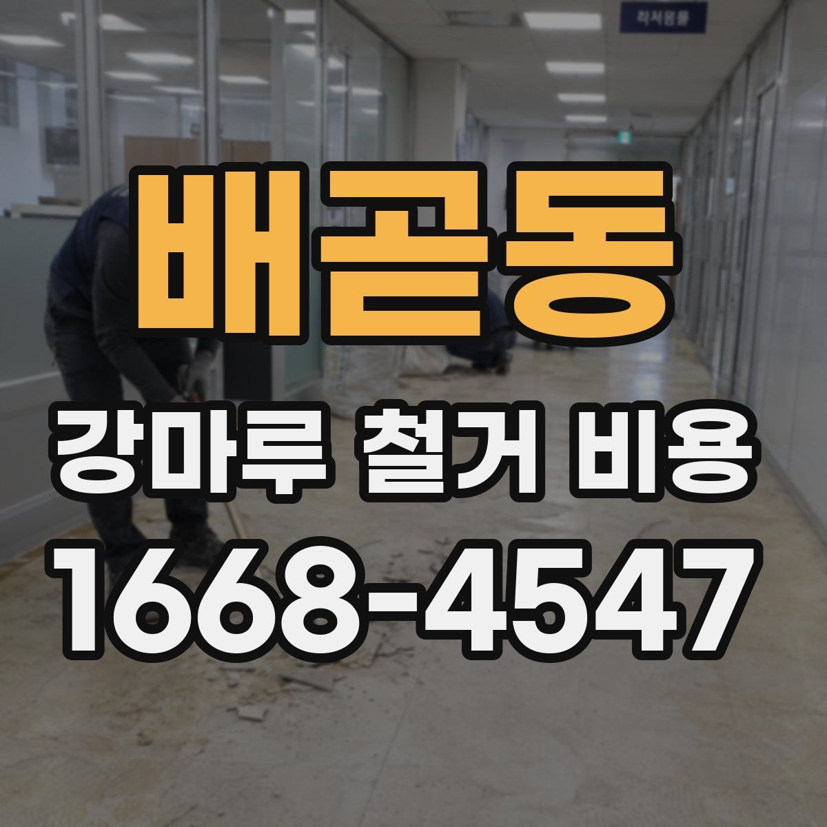 배곧동 강마루 철거 비용