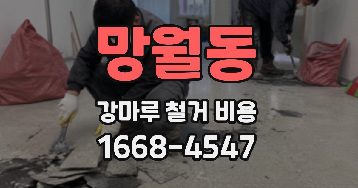 망월동 강마루 철거 비용
