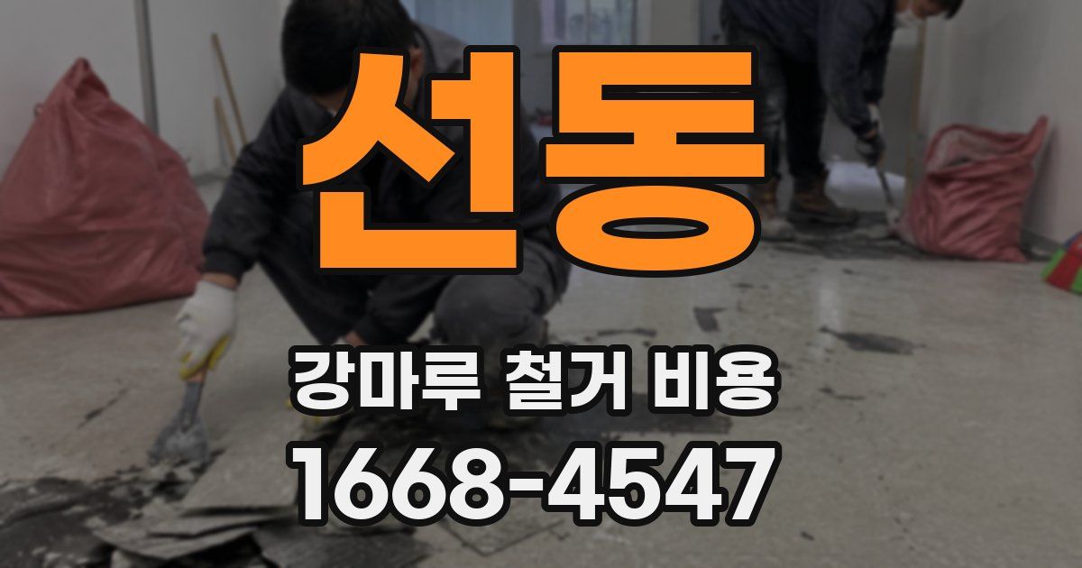 선동 강마루 철거 비용