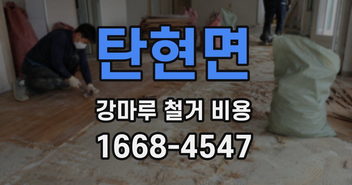 탄현면 강마루 철거 비용