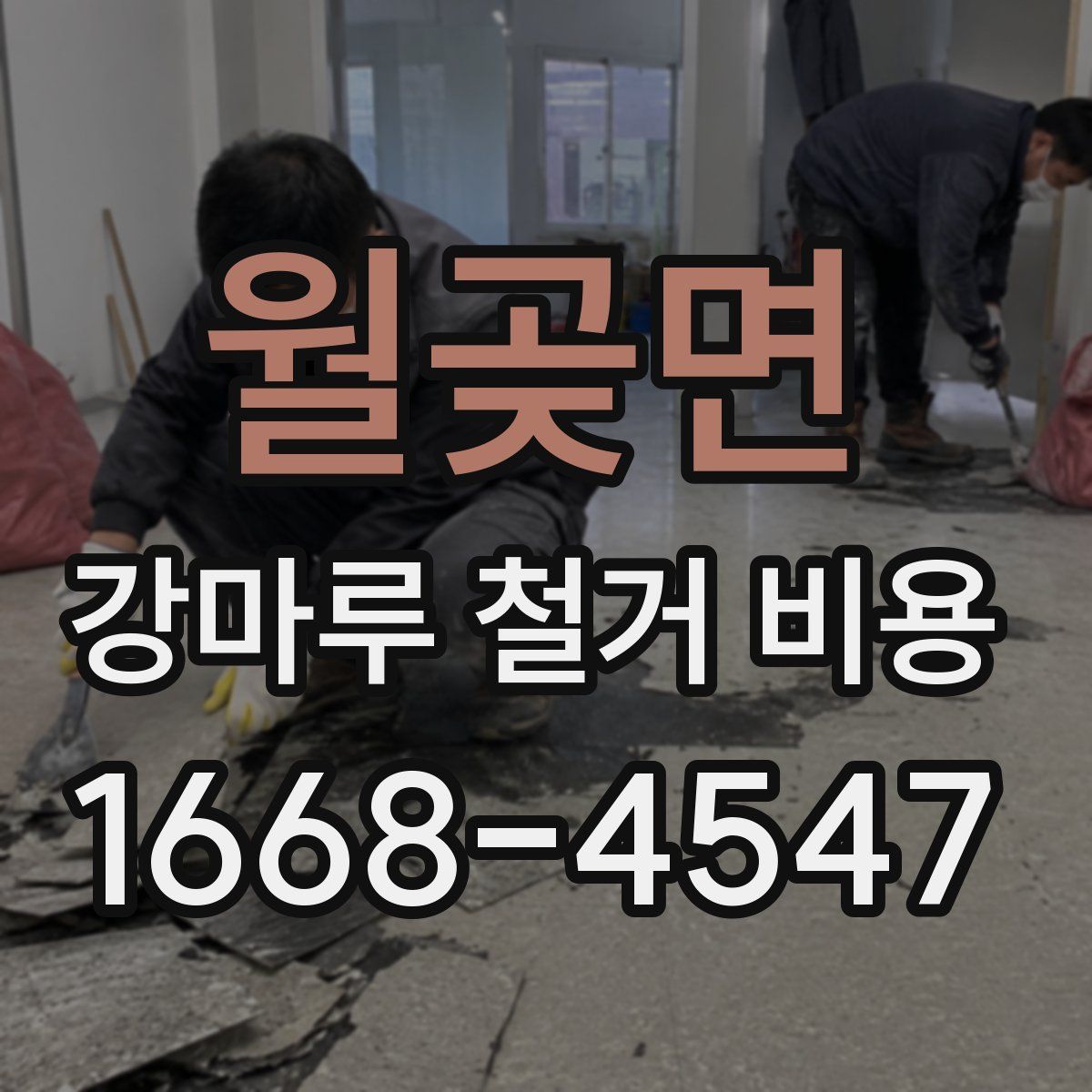 월곶면 강마루 철거 비용