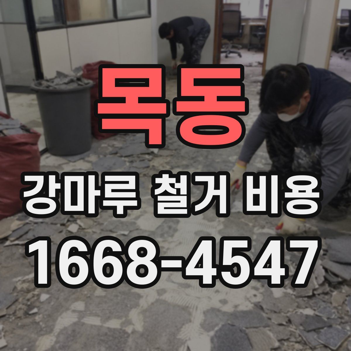 목동 강마루 철거 비용