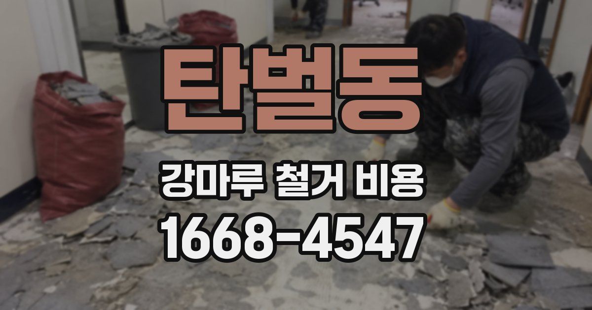 탄벌동 강마루 철거 비용
