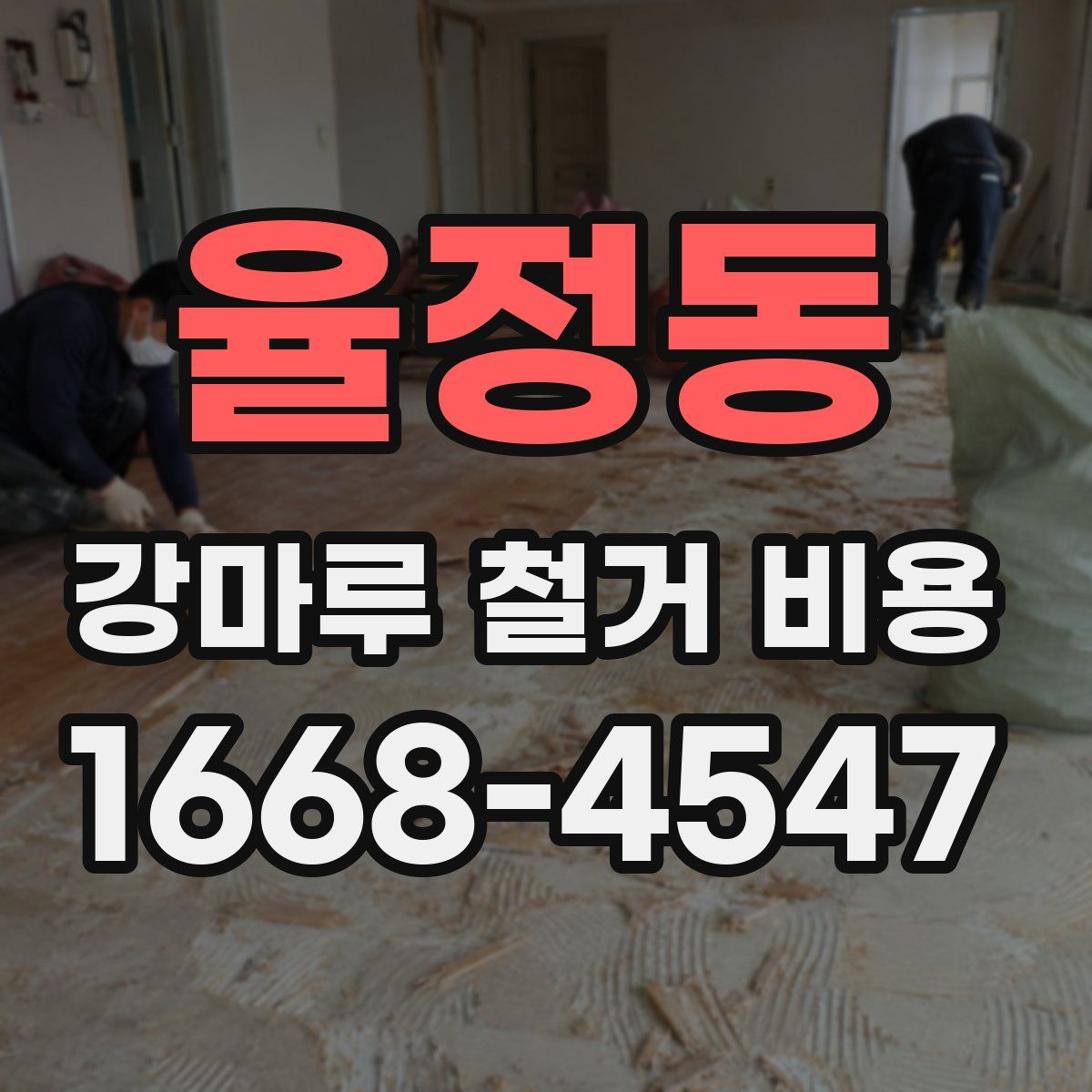 율정동 강마루 철거 비용