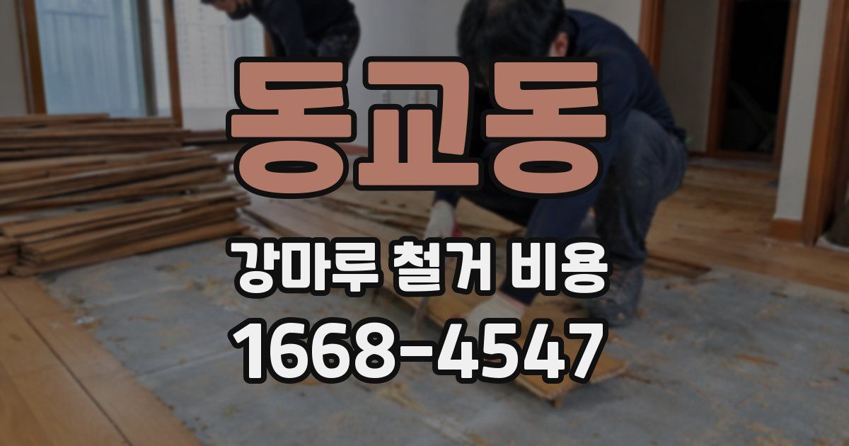 동교동 강마루 철거 비용