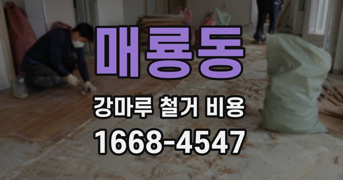 매룡동 강마루 철거 비용