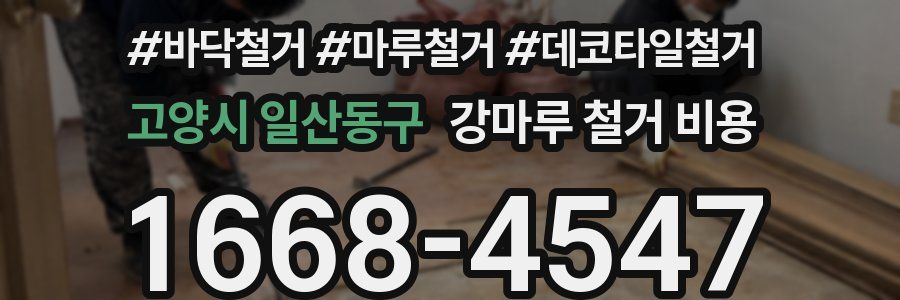 고양시 일산동구 강마루 철거 비용