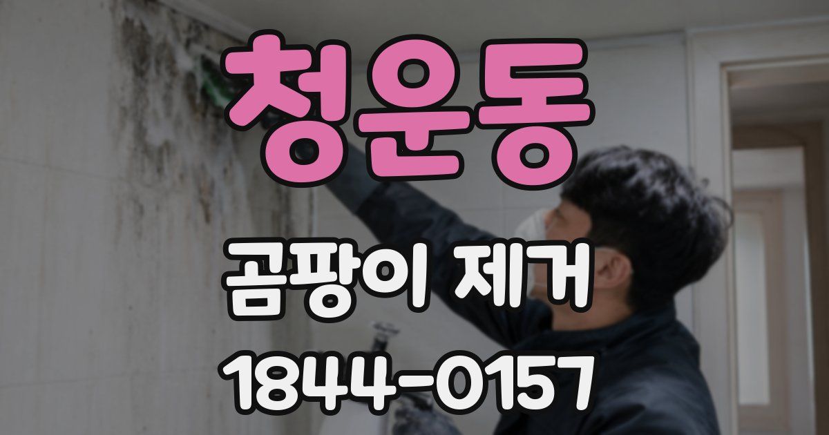 청운동 곰팡이 제거