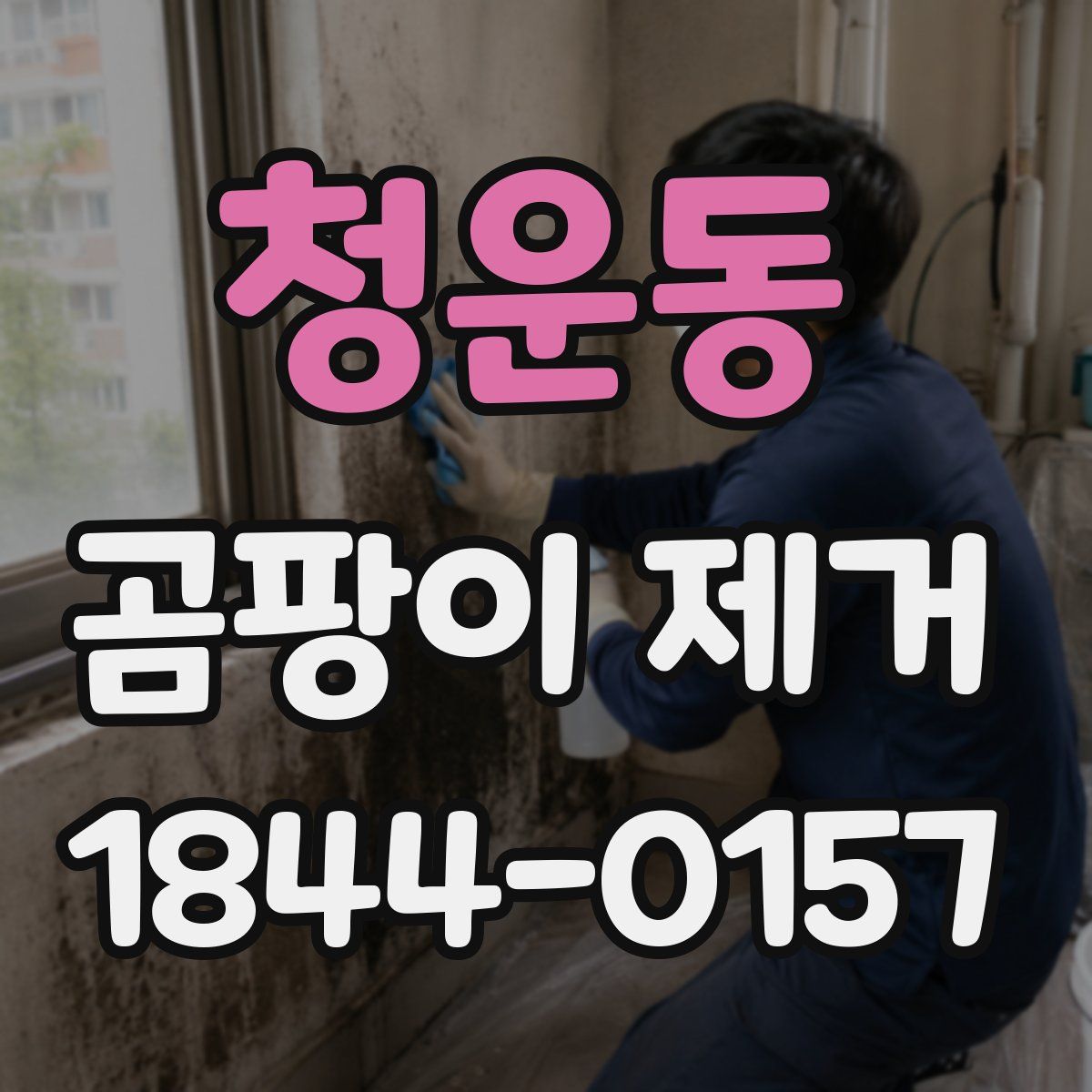 청운동 곰팡이 제거