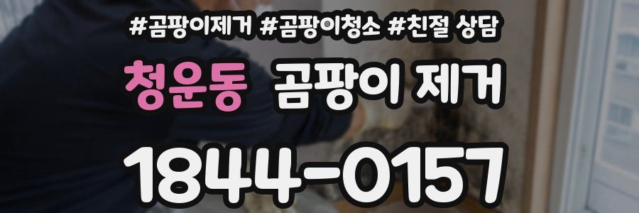 청운동 곰팡이 제거