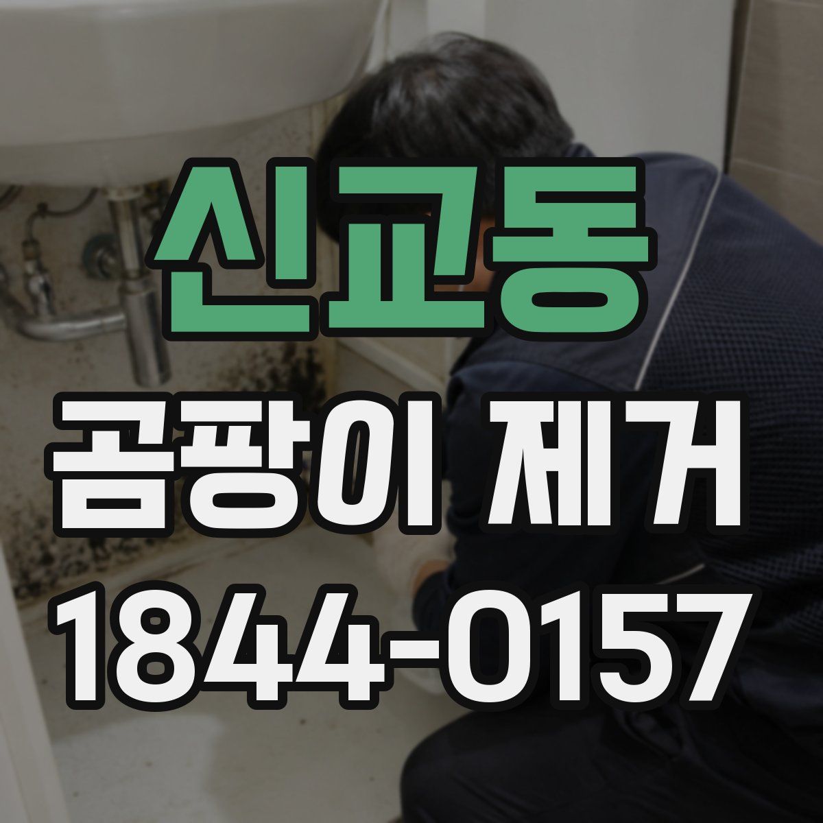 신교동 곰팡이 제거