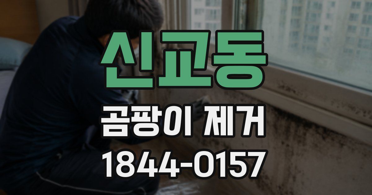 신교동 곰팡이 제거