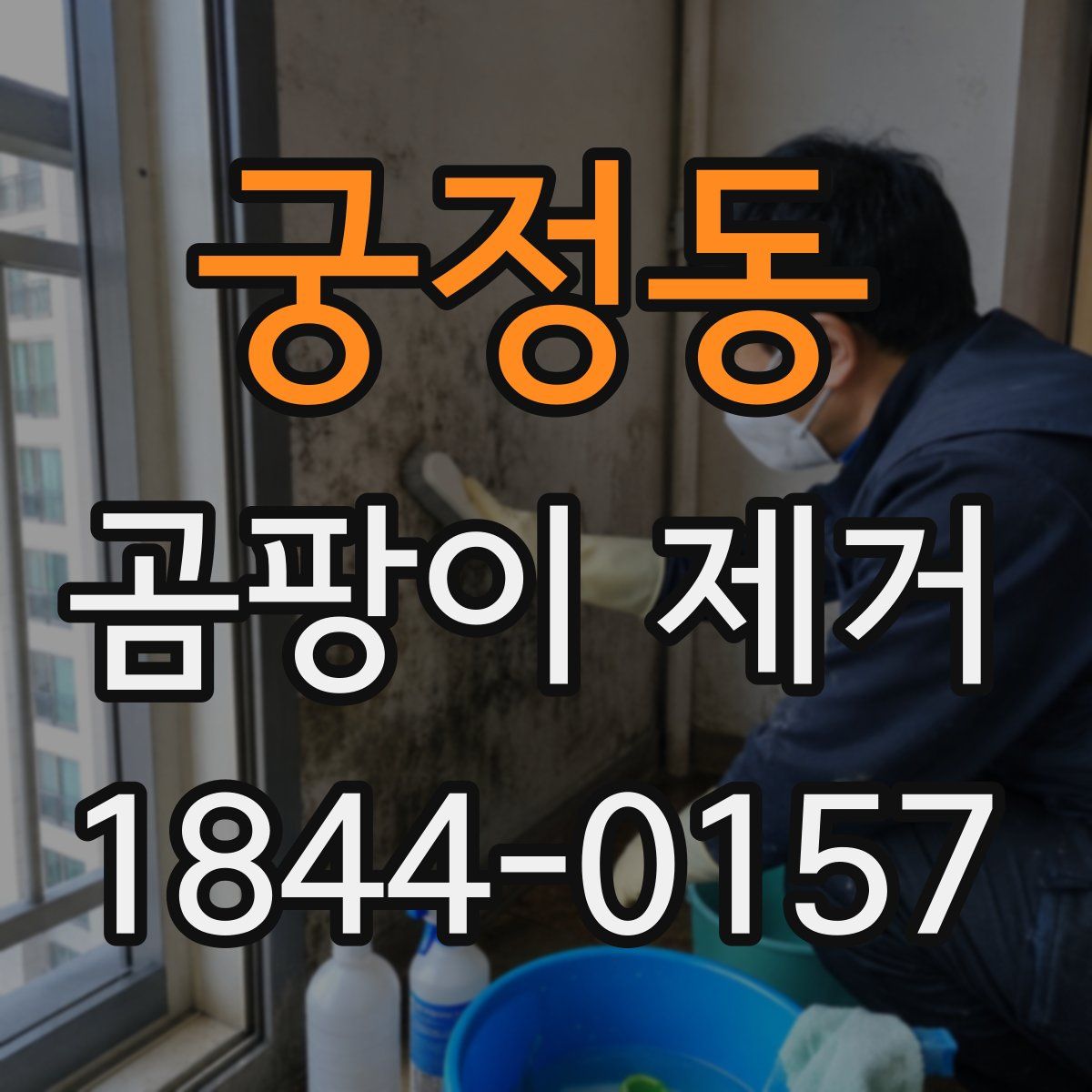궁정동 곰팡이 제거