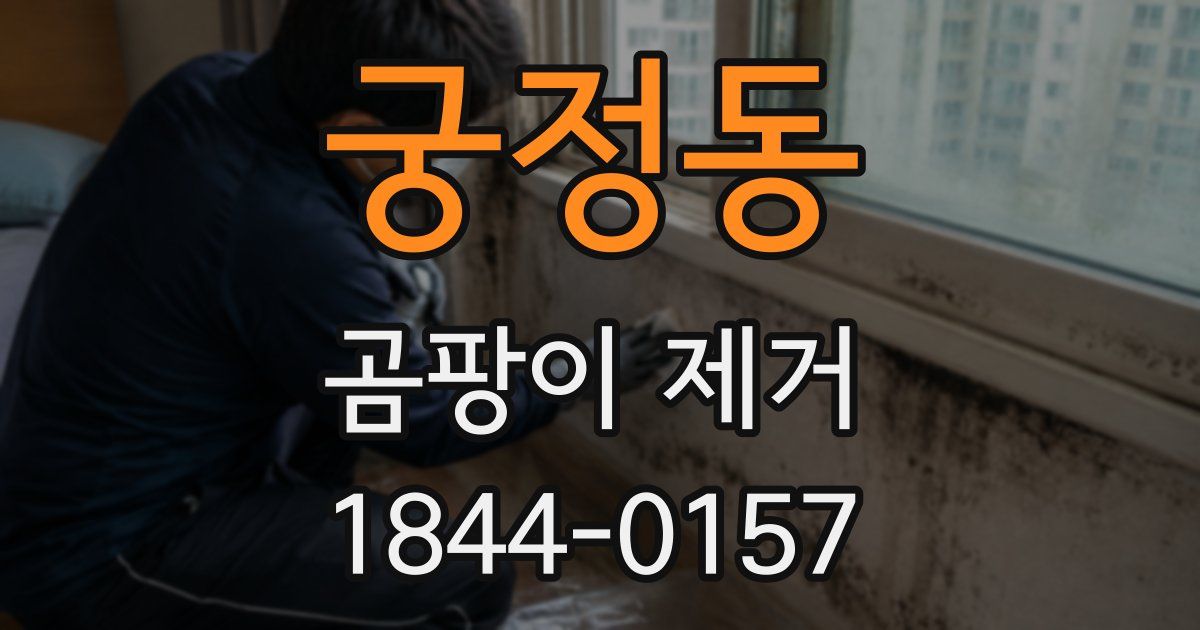 궁정동 곰팡이 제거