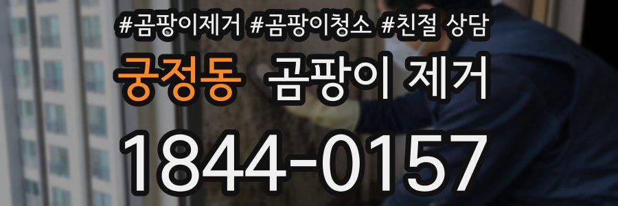 궁정동 곰팡이 제거