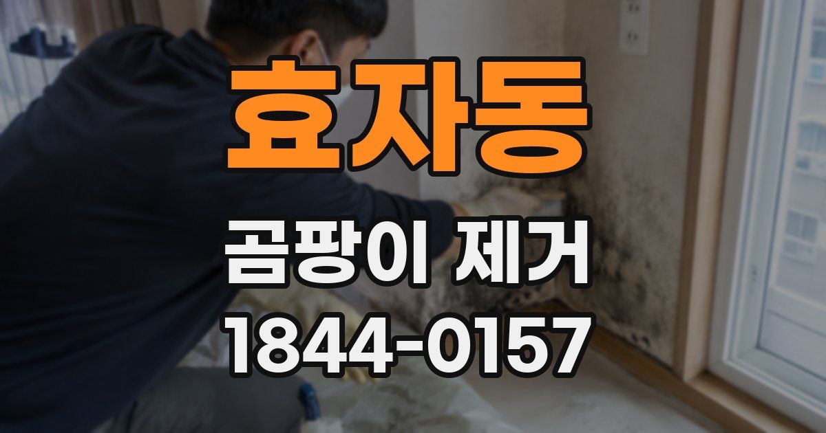효자동 곰팡이 제거