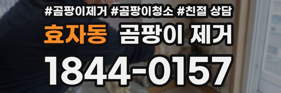 효자동 곰팡이 제거