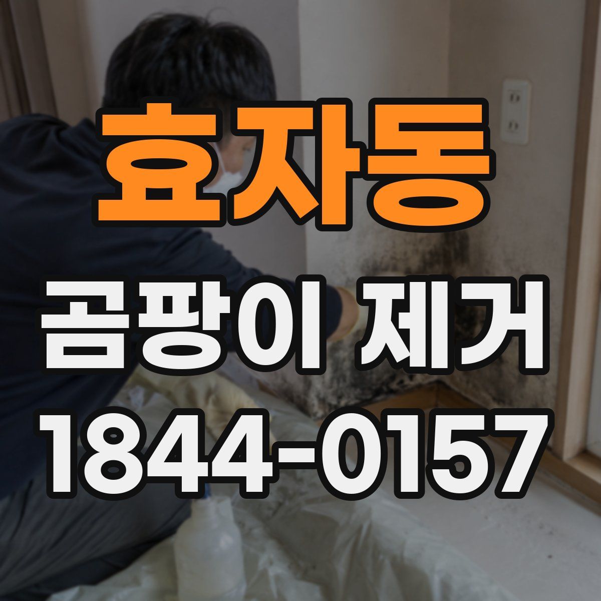 효자동 곰팡이 제거