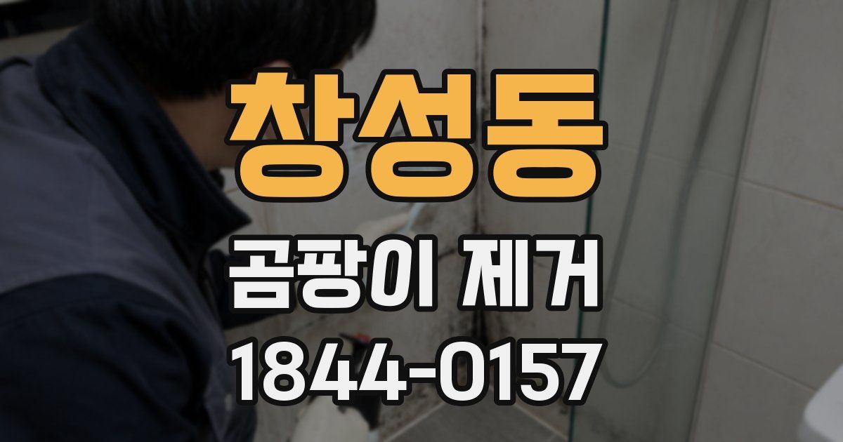 창성동 곰팡이 제거