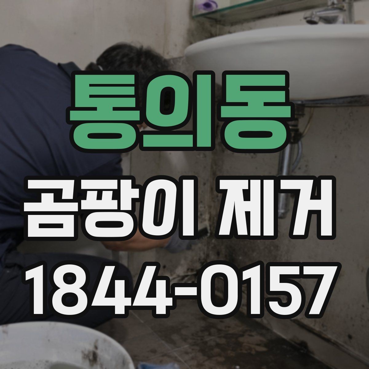 통의동 곰팡이 제거 후 재발을 줄이는 관리법