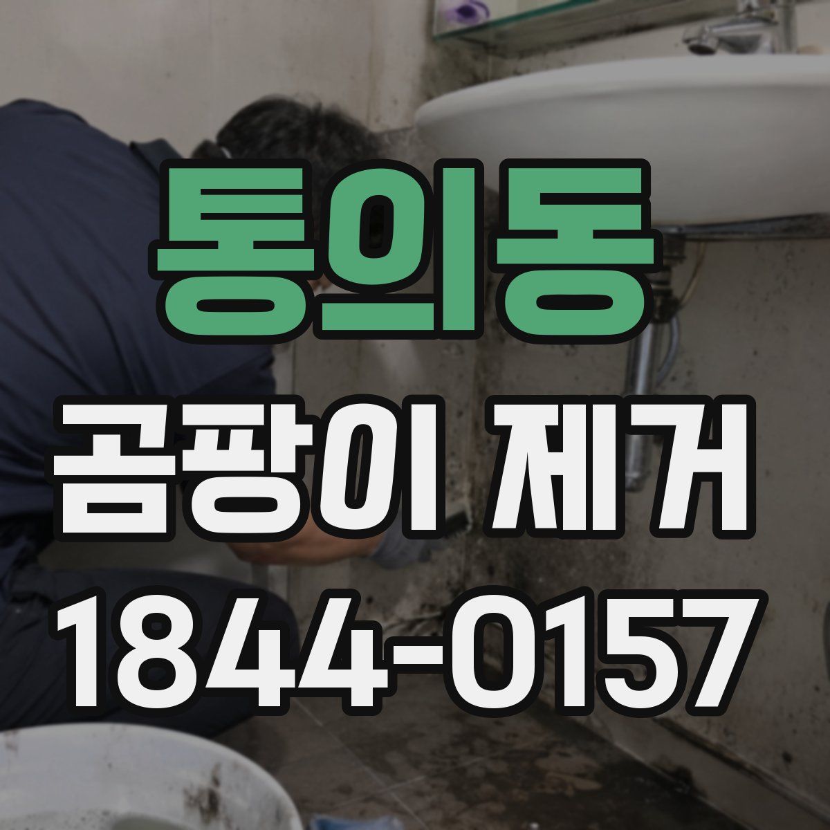 통의동 곰팡이 제거