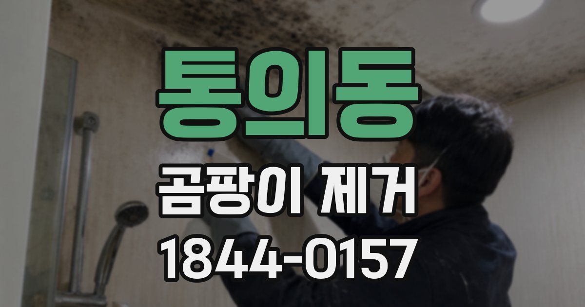 통의동 곰팡이 제거