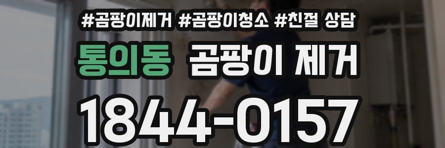 통의동 곰팡이 제거