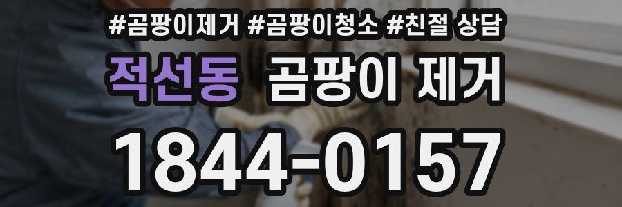 적선동 곰팡이 제거