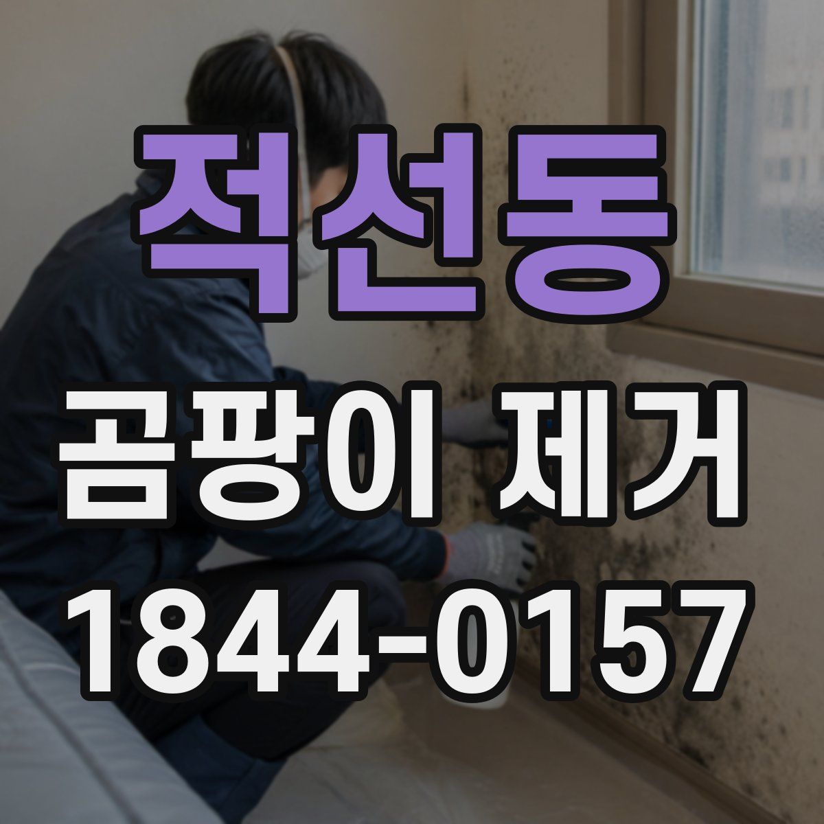 적선동 곰팡이 제거