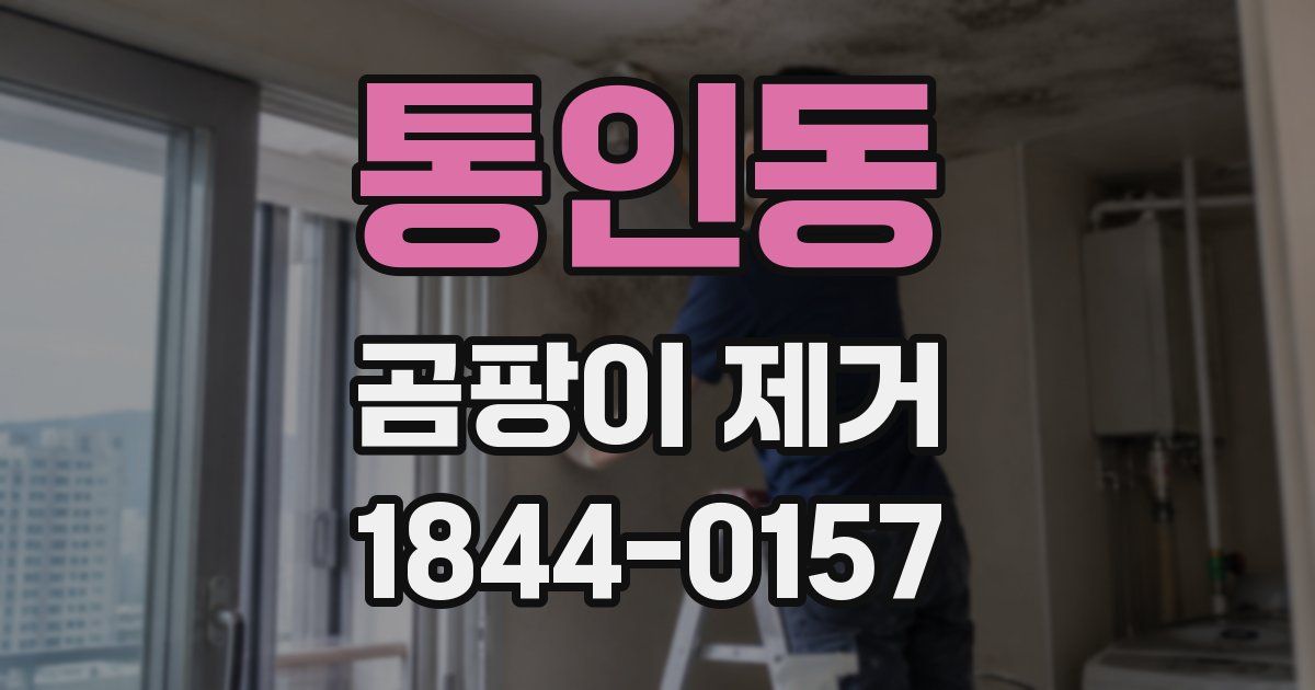 통인동 곰팡이 제거