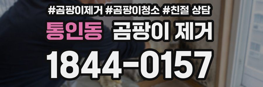통인동 곰팡이 제거